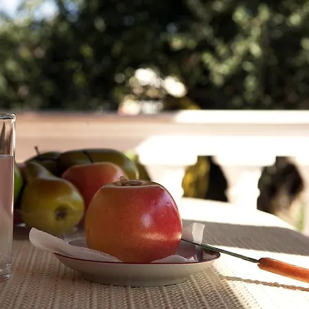Casa Electra Case de vacanță *