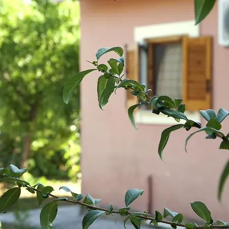 Casa Electra