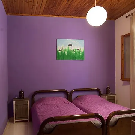Casa Electra Case de vacanță
